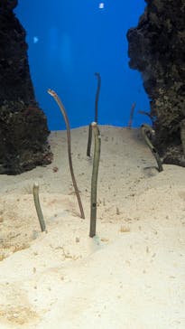 鴨川シーワールドに投稿された画像（2025/2/23）