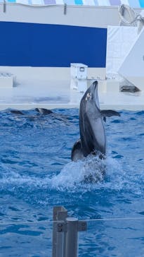 鴨川シーワールドに投稿された画像（2025/2/23）