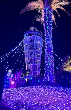 江の島シーキャンドルに投稿された画像（2025/2/23）