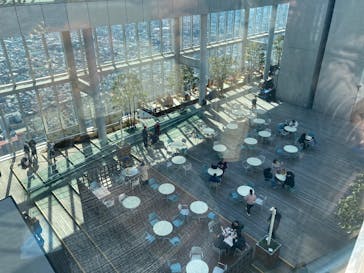 ハルカス300(展望台)に投稿された画像（2025/2/23）