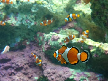 サンシャイン水族館に投稿された画像（2025/2/23）