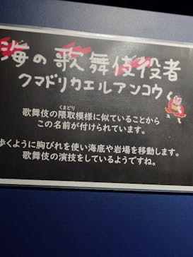 サンシャイン水族館に投稿された画像（2025/2/23）