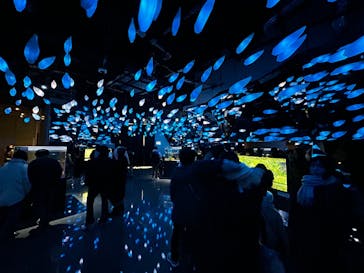 AQUARIUM × ART　atoaに投稿された画像（2025/2/23）