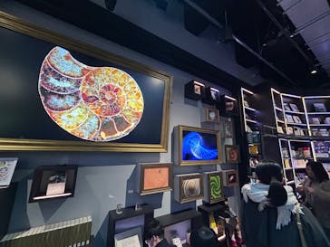 AQUARIUM × ART　atoaに投稿された画像（2025/2/23）