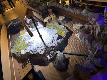 AQUARIUM × ART　atoaに投稿された画像（2025/2/23）