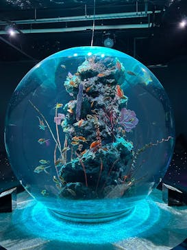 AQUARIUM × ART　atoaに投稿された画像（2025/2/23）