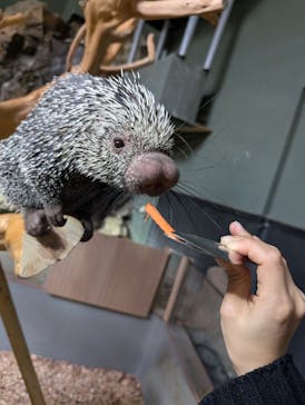 カワスイ 川崎⽔族館に投稿された画像（2025/2/23）