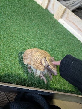 カワスイ 川崎⽔族館に投稿された画像（2025/2/23）