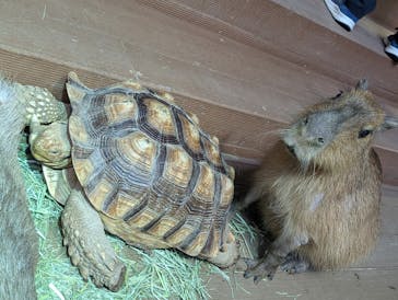 カワスイ 川崎⽔族館に投稿された画像（2025/2/23）