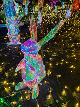 伊豆高原グランイルミに投稿された画像（2025/2/23）