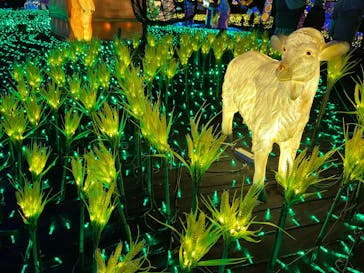 伊豆高原グランイルミに投稿された画像（2025/2/23）