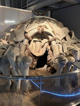 国立科学博物館に投稿された画像（2025/2/23）