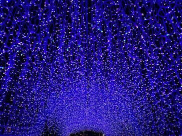 江の島シーキャンドルに投稿された画像（2025/2/23）