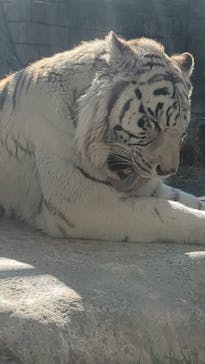 東武動物公園に投稿された画像（2025/2/23）