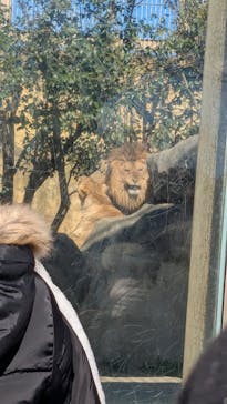 東武動物公園に投稿された画像（2025/2/23）