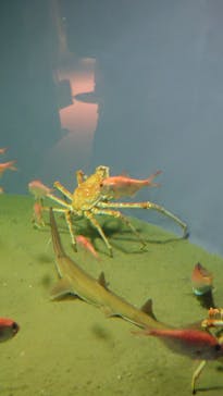 葛西臨海水族園に投稿された画像（2025/2/23）