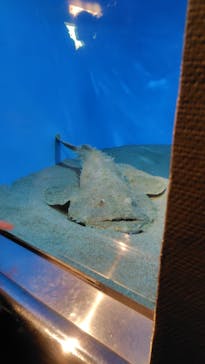 葛西臨海水族園に投稿された画像（2025/2/23）