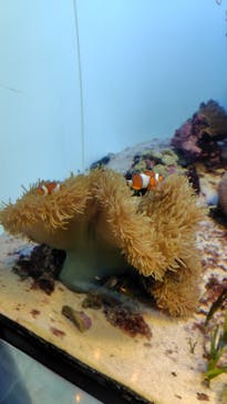 葛西臨海水族園に投稿された画像（2025/2/23）