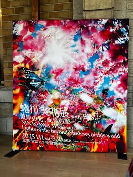 蜷川実花展 with EiM：彼岸の光、此岸の影 NINAGAWA Mika with EiM：Lights of the beyond, Shadows of this worldに投稿された画像（2025/2/23）