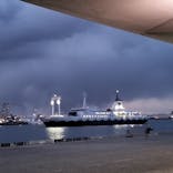 東京湾夜景クルーズ＜横浜港→東京（竹芝桟橋）＞に投稿された画像（2025/2/24）