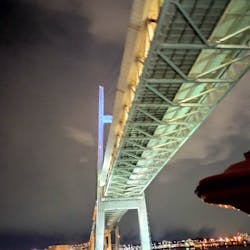 東京湾夜景クルーズ＜横浜港→東京（竹芝桟橋）＞に投稿された画像（2025/2/23）