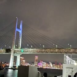 東京湾夜景クルーズ＜横浜港→東京（竹芝桟橋）＞に投稿された画像（2025/2/23）