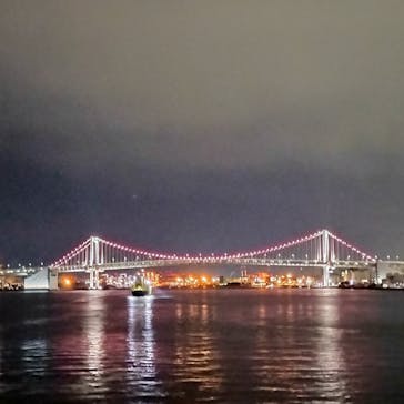 東京湾夜景クルーズ＜横浜港→東京（竹芝桟橋）＞に投稿された画像（2025/2/23）
