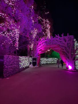 NESTA RESORT KOBE（ネスタリゾート神戸）に投稿された画像（2025/2/23）