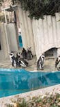 恩賜上野動物園に投稿された画像（2025/2/24）