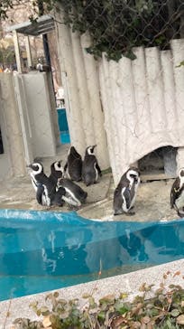 恩賜上野動物園に投稿された画像（2025/2/23）