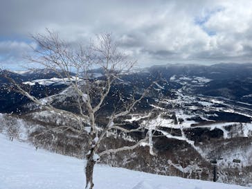 星野リゾート　トマムスキー場に投稿された画像（2025/2/23）