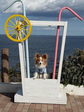 ニューヨークランプミュージアム＆フラワーガーデンに投稿された画像（2025/2/23）