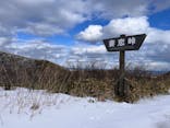 DMO推進室に投稿された画像（2025/2/24）