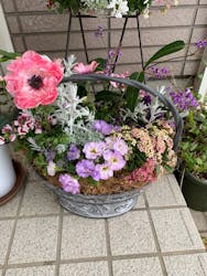 ガーデニングカフェ花草に投稿された画像（2025/2/23）