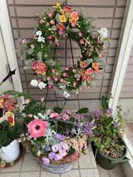 ガーデニングカフェ花草に投稿された画像（2025/2/23）