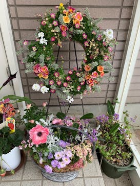 ガーデニングカフェ花草に投稿された画像（2025/2/23）