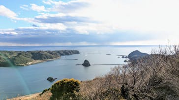 下田ロープウェイに投稿された画像（2025/2/23）