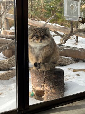 那須どうぶつ王国に投稿された画像（2025/2/23）