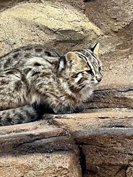 那須どうぶつ王国に投稿された画像（2025/2/23）