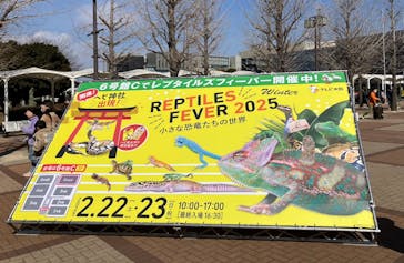 レプタイルズフィーバー Winter 2025に投稿された画像（2025/2/23）