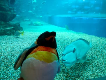 マクセル アクアパーク品川に投稿された画像（2025/2/24）