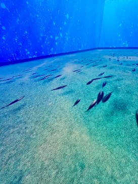 動き出す浮世絵展 TOKYOに投稿された画像（2025/2/24）