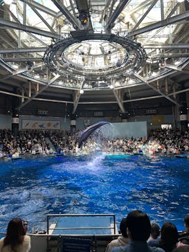 マクセル アクアパーク品川に投稿された画像（2025/2/24）