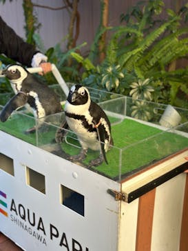 マクセル アクアパーク品川に投稿された画像（2025/2/24）