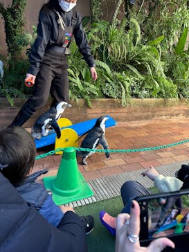 マクセル アクアパーク品川に投稿された画像（2025/2/24）