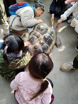 神戸どうぶつ王国に投稿された画像（2025/2/24）