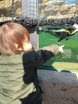 神戸どうぶつ王国に投稿された画像（2025/2/24）