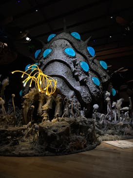 金曜ロードショーとジブリ展　三重展に投稿された画像（2025/2/24）