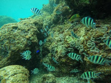 武藤潜水に投稿された画像（2025/2/24）