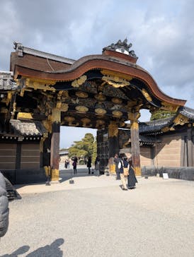 元離宮二条城に投稿された画像（2025/2/24）